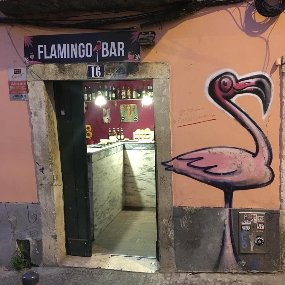 Flamingo Mouraria